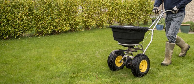 Fall Lawn Fertilizing in Ventura County, CA