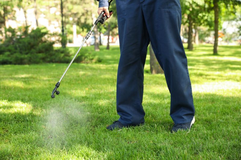 Lawn Moss Control in Honolulu, HI