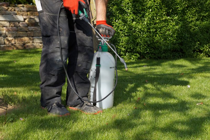 Lawn Weed Treatment in Ventura County, CA