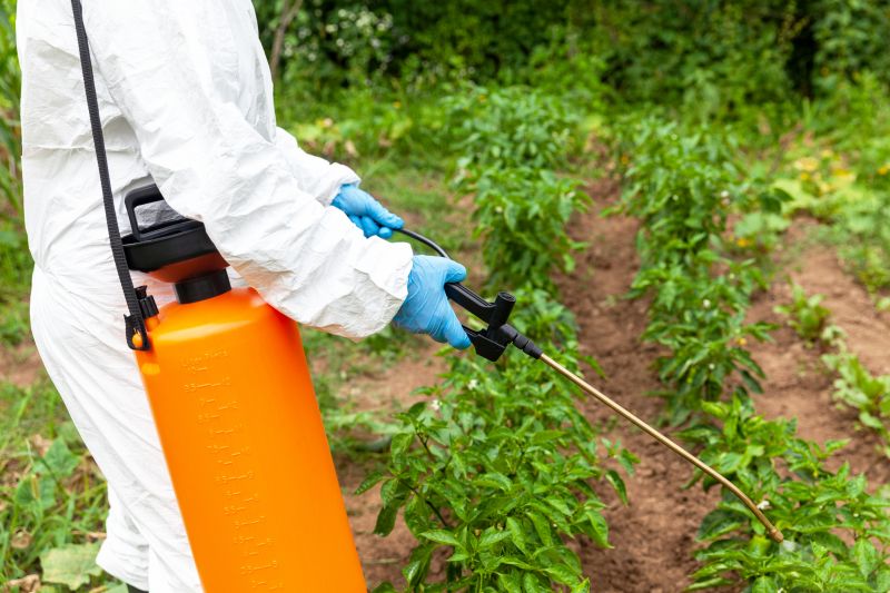 Weed Prevention Service in Ventura County, CA