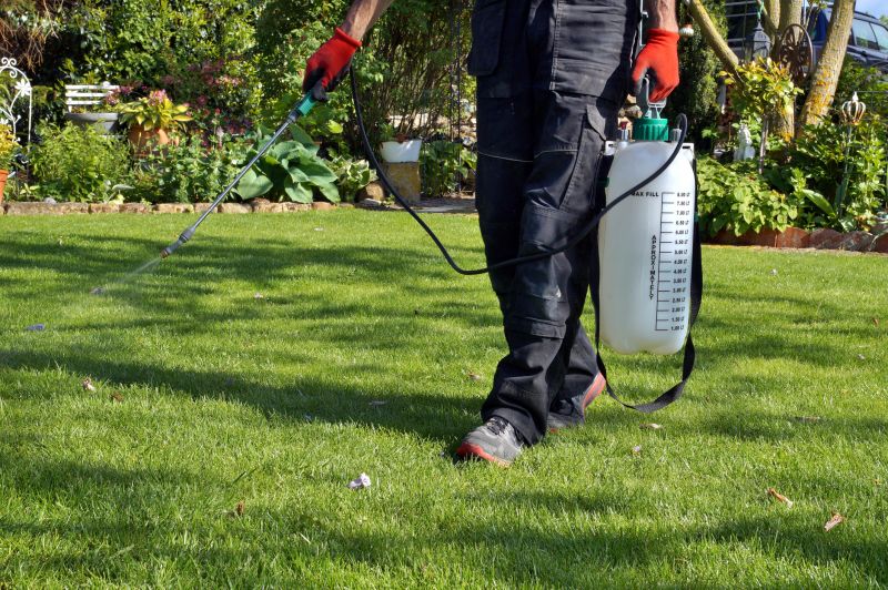 Lawn Enrichment in Ventura County, CA