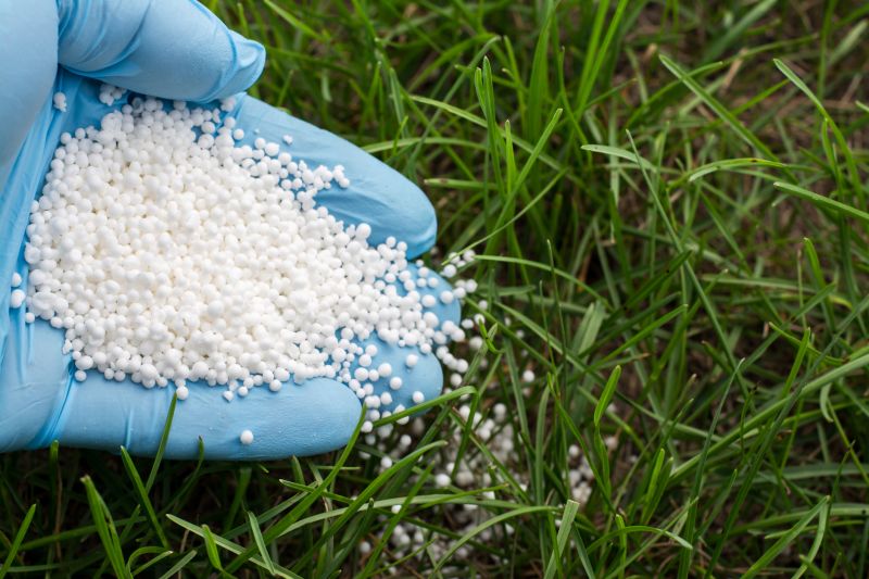Lawn Fertilization Service in Honolulu, HI