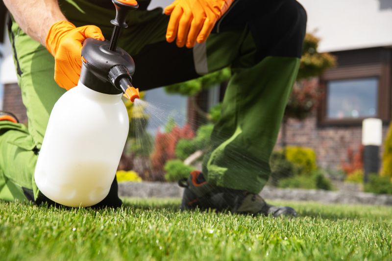 Lawn Fungus Treatment