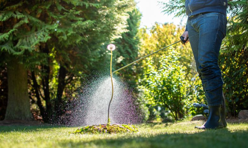 Lawn Herbicide Treatment in Aiken, SC