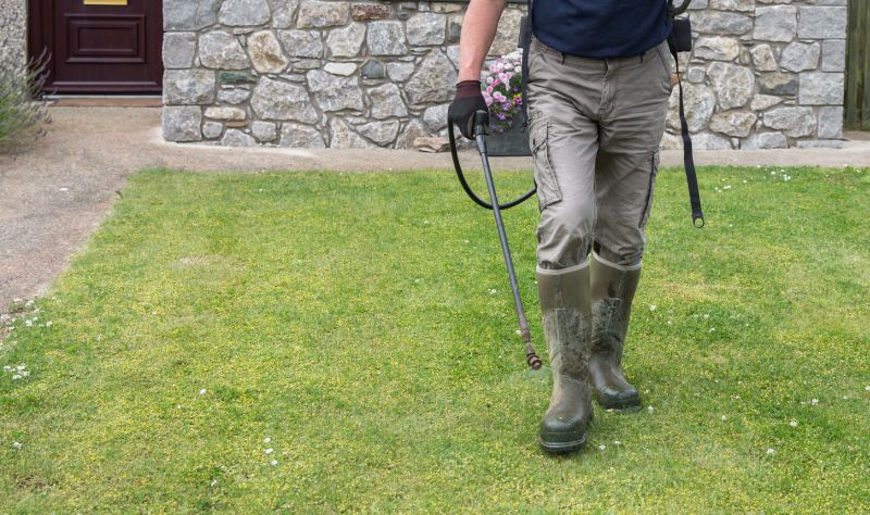 Lawn Herbicide Treatment in Ventura County, CA