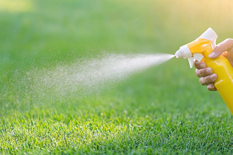 Lawn Herbicide Treatment in Honolulu, HI