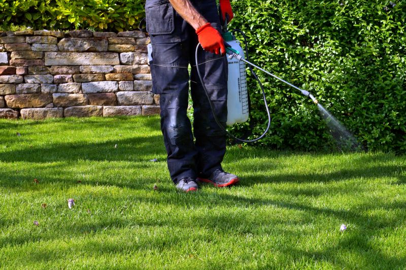 Lawn Herbicide Treatment in Honolulu, HI