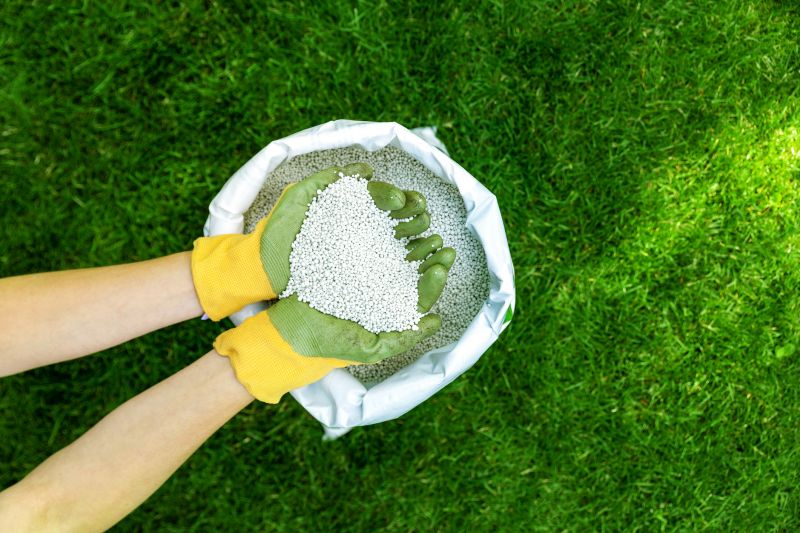 Lawn Treatment Service in Ventura County, CA