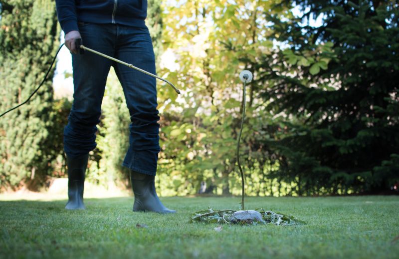 Lawn Weed Control in Rockwall, TX