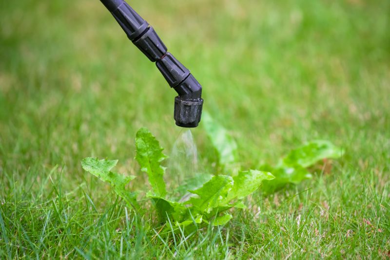 Lawn Weed Treatment in Ventura County, CA