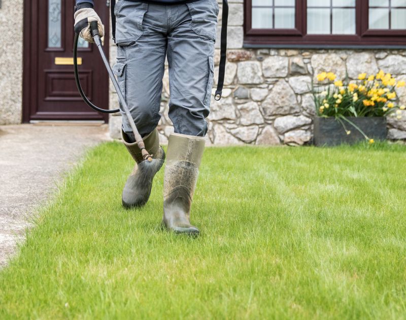 Spring Lawn Treatment in Ventura County, CA