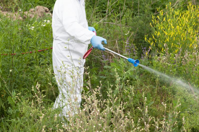 Weed Spraying in Rockwall, TX
