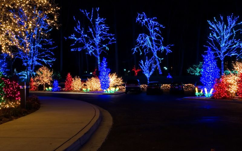 Yard Lights Installation in Denver County, CO